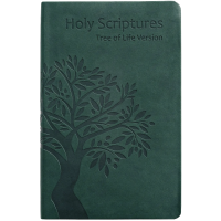 HOLY SCRIPTURES THINLINE EDITION (TLV)