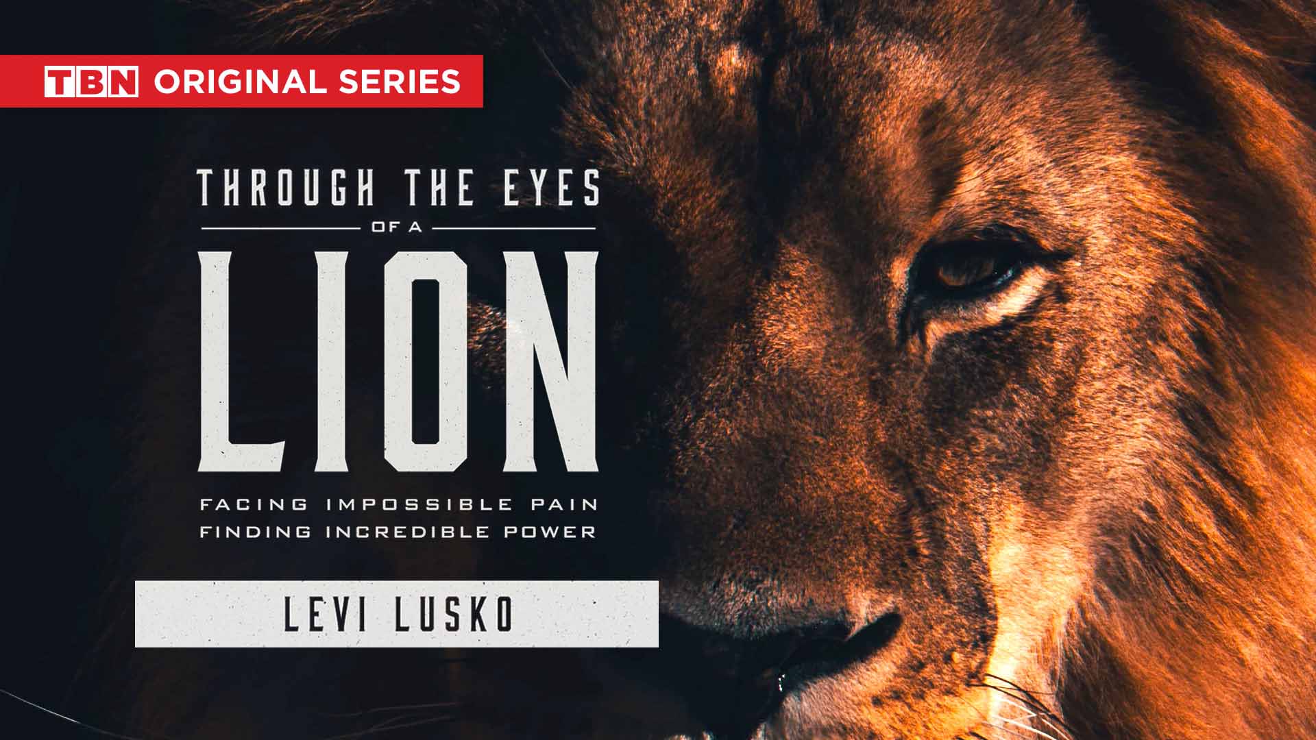 levi_lusko_through_the_eyes_of_a_lion.jpeg